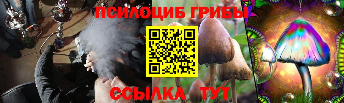 Галлюциногенные грибы мицелий  Галлюциногенные грибы MAGIC MUSHROOMS  Алатырь  Вход с VPN 